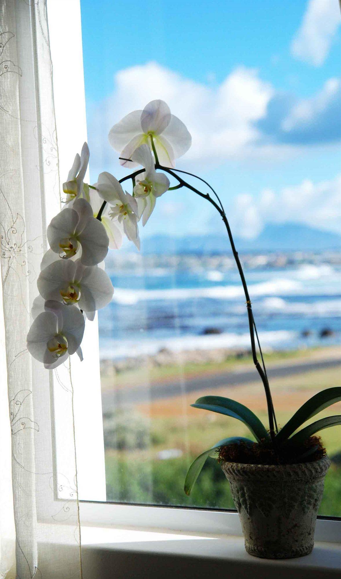 138 Marine Beachfront Guesthouse Hermanus Exterior photo